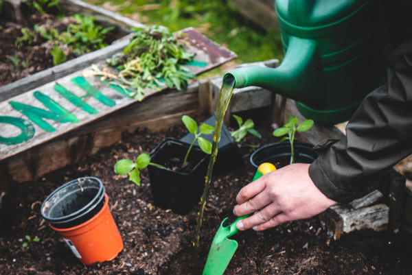 Jardinage biologique © Jonathan Kemper / Unsplash